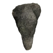 FOUDEBASSIN.COM Roche Artificielle Rockways RW7