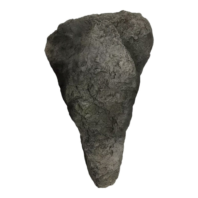 FOUDEBASSIN.COM Roche Artificielle Rockways RW7