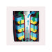 FOUDEBASSIN.COM Set Mousses filtrantes pour BioPressure® II 36000 8711465588690 1358869