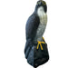 FOUDEBASSIN.COM SF DECO BIRD FALCON 8715897353147 06091060