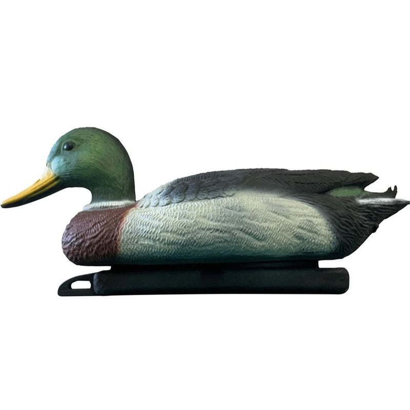 FOUDEBASSIN.COM SF DECO BIRD MALLARD DUCK MALE 8715897353109 06091040