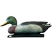 FOUDEBASSIN.COM SF DECO BIRD MALLARD DUCK MALE 8715897353109 06091040