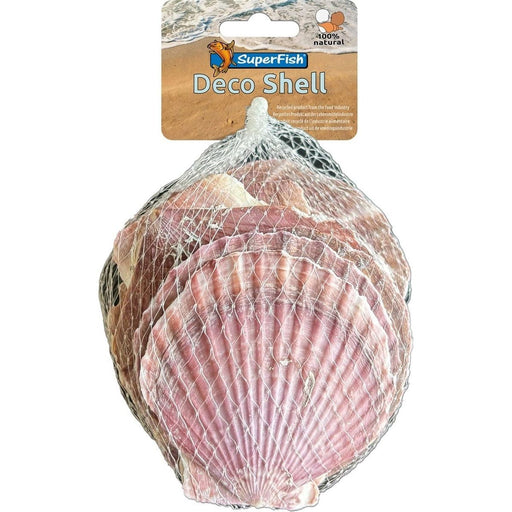 FOUDEBASSIN.COM SF DECO SHELL PURPLE 200 GRAM 8715897349737 A4080405