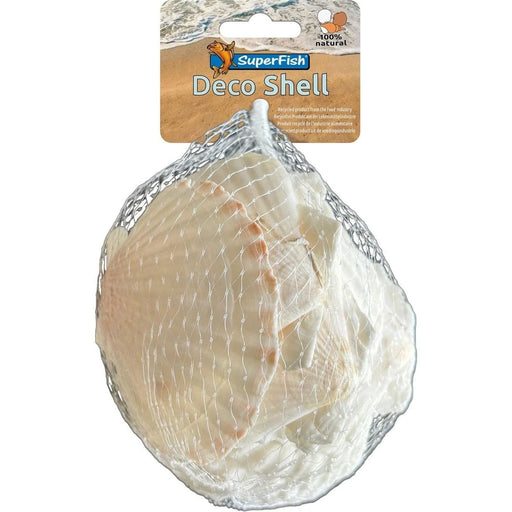 FOUDEBASSIN.COM SF DECO SHELL SCALLOP WHITE 200 GRAM 8715897349768 A4080420