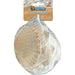 FOUDEBASSIN.COM SF DECO SHELL SCALLOP WHITE 200 GRAM 8715897349768 A4080420
