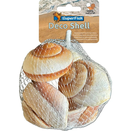 FOUDEBASSIN.COM SF DECO SHELL SNAIL BROWN-WHITE 170 GRAM 8715897349782 A4080430