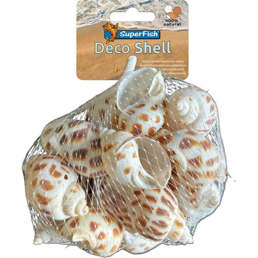 FOUDEBASSIN.COM SF DECO SHELL SPIRAL STRIPED 200 GRAM 8715897349775 A4080425
