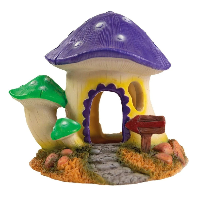 FOUDEBASSIN.COM SF MUSHROOM HOUSE M 8715897319761 A4021510