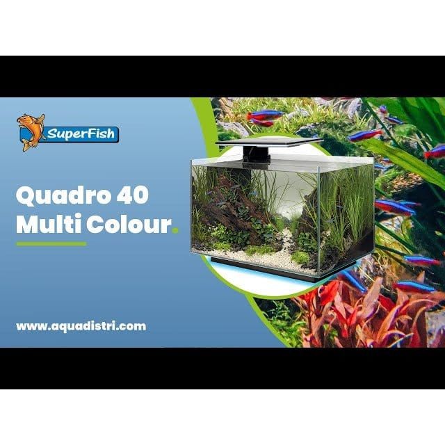 FOUDEBASSIN.COM SF QUADRO 40 MULTI COLOUR BLACK 	8715897341649 A4052215