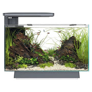 FOUDEBASSIN.COM SF QUADRO 40 MULTI COLOUR BLACK 	8715897341649 A4052215