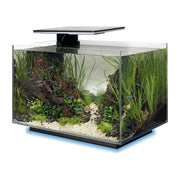 FOUDEBASSIN.COM SF QUADRO 40 MULTI COLOUR BLACK 	8715897341649 A4052215