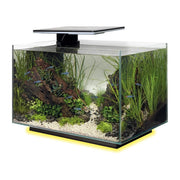 FOUDEBASSIN.COM SF QUADRO 40 MULTI COLOUR BLACK 	8715897341649 A4052215