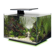 FOUDEBASSIN.COM SF QUADRO 40 MULTI COLOUR BLACK 	8715897341649 A4052215