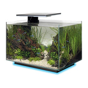 FOUDEBASSIN.COM SF QUADRO 40 MULTI COLOUR BLACK 	8715897341649 A4052215