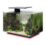 FOUDEBASSIN.COM SF QUADRO 40 MULTI COLOUR BLACK 	8715897341649 A4052215
