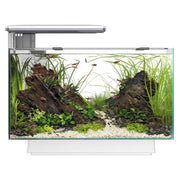 FOUDEBASSIN.COM SF QUADRO 40 MULTI COLOUR WHITE 	8715897341632 A4052210