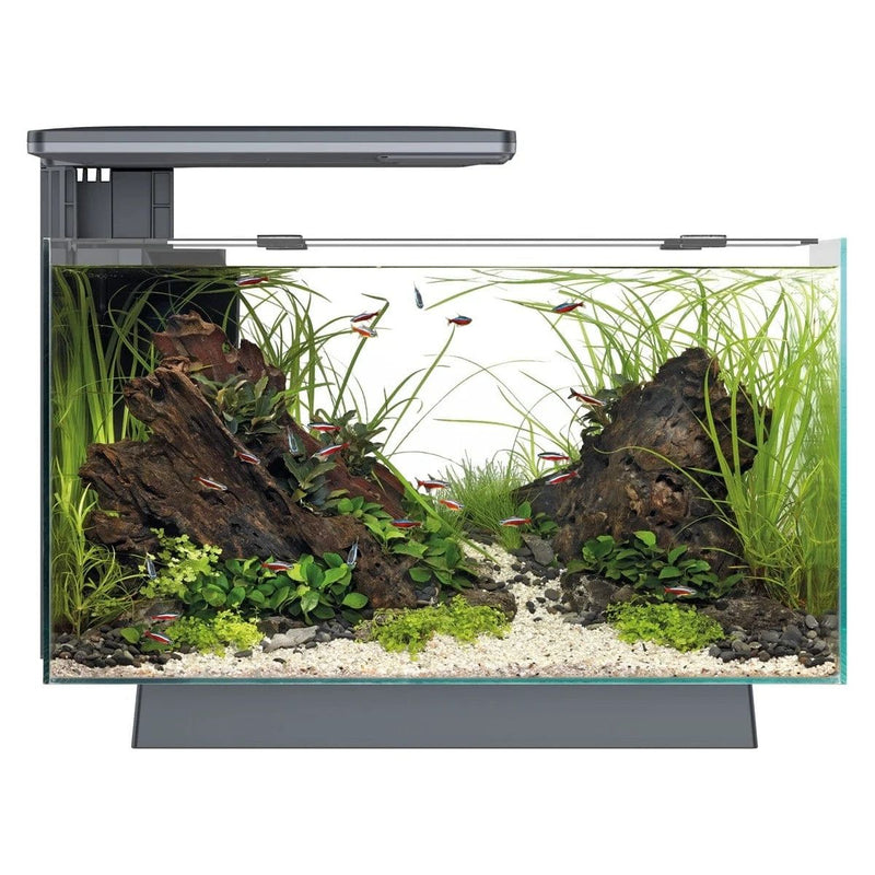 FOUDEBASSIN.COM SF QUADRO 40 PRO BLACK 8715897341625 A4052205