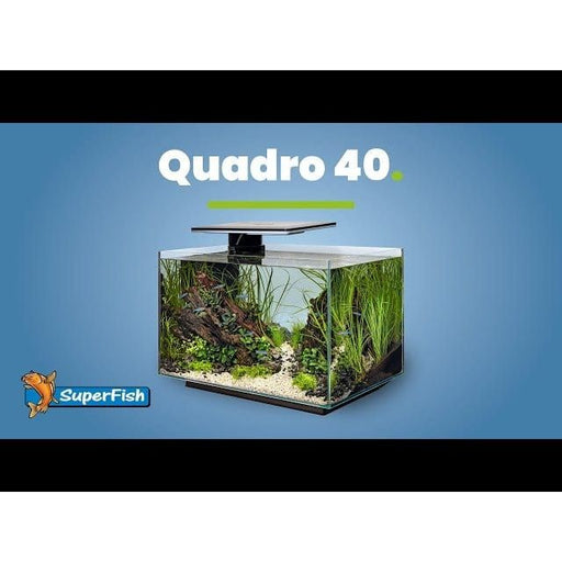 FOUDEBASSIN.COM SF QUADRO 40 PRO WHITE 8715897341618 A4052200
