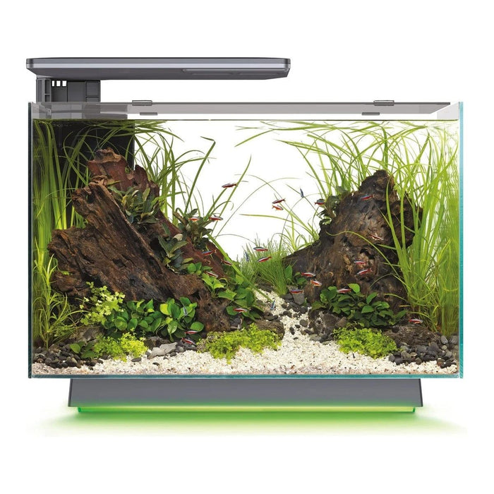 FOUDEBASSIN.COM SF QUADRO 70 MULTI COLOUR BLACK 8715897349195 A4052235