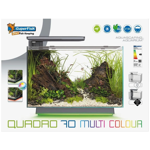 FOUDEBASSIN.COM SF QUADRO 70 MULTI COLOUR WHITE 8715897349188 A4052230