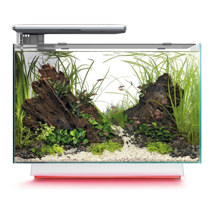 FOUDEBASSIN.COM SF QUADRO 70 MULTI COLOUR WHITE 8715897349188 A4052230