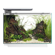 FOUDEBASSIN.COM SF QUADRO 70 PRO WHITE 8715897341656 A4052220
