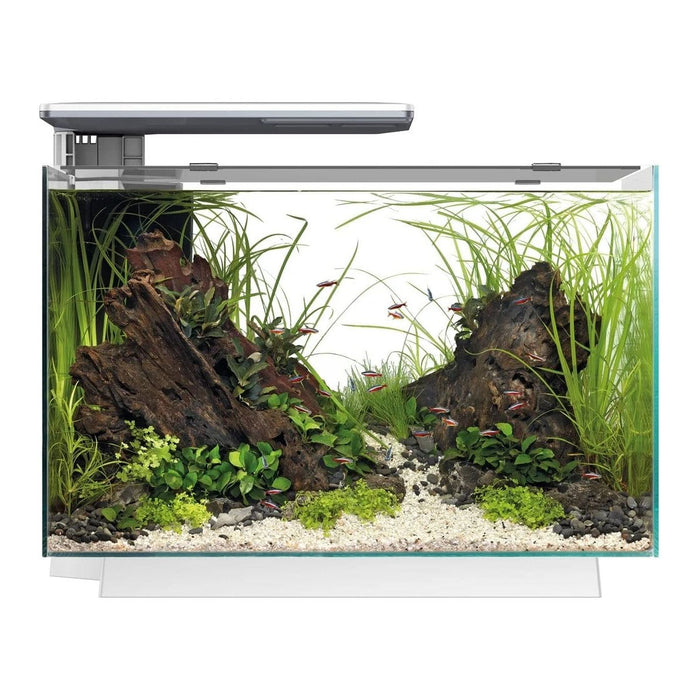 FOUDEBASSIN.COM SF QUADRO 70 PRO WHITE 8715897341656 A4052220