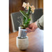 FOUDEBASSIN.COM Soucoupe en polypropylène noire - H3,5 x Ø27 cm 8711338702239 6070223