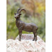 FOUDEBASSIN.COM Steinbock klein 360016900 88579