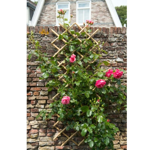 FOUDEBASSIN.COM Treillis extensible en bambou - 100 x 200 cm 8711338407226 6040722