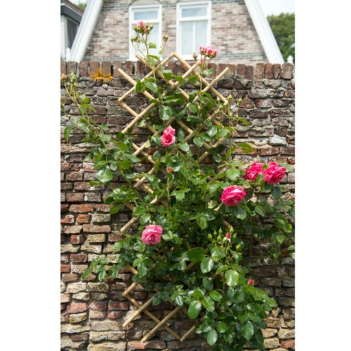 FOUDEBASSIN.COM Treillis extensible en bambou - 45 x 180 cm 8711338407202 6040720