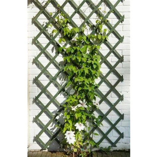 FOUDEBASSIN.COM Treillis extensible en bois coloré vert - FSC® label, lattes 18 x 6 mm - 100 x 200 cm 8711338417041 6041704