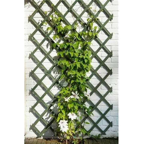 FOUDEBASSIN.COM Treillis extensible en bois coloré vert - FSC® label, lattes 18 x 6 mm - 50 x 150 cm 8711338417027 6041702