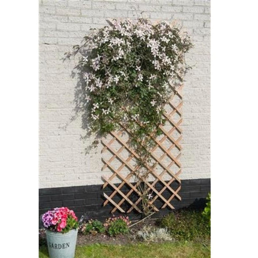 FOUDEBASSIN.COM Treillis extensible en bois naturel - FSC® label, lattes 18 x 6 mm - 100 x 300 cm 8711338417058 6041705