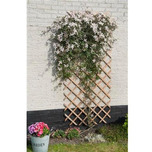FOUDEBASSIN.COM Treillis extensible en bois naturel - FSC® label, lattes 18 x 6 mm - 50 x 150 cm 8711338417010 6041701