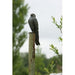 FOUDEBASSIN.COM Turmfalke 31 cm hoch 690014900 88462