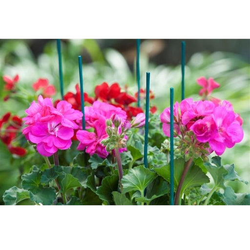 FOUDEBASSIN.COM Tuteur bambou refendu vert - H50 cm x Ø4-4,5 mm - 10 x 8711338402153 6040215
