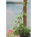 FOUDEBASSIN.COM Tuteur en fibres de coco, FSC® - H120 cm x Ø42 mm 8711338402320 6040232