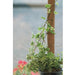 FOUDEBASSIN.COM Tuteur en fibres de coco, FSC® - H90 cm x Ø38 mm 8711338402313 6040231