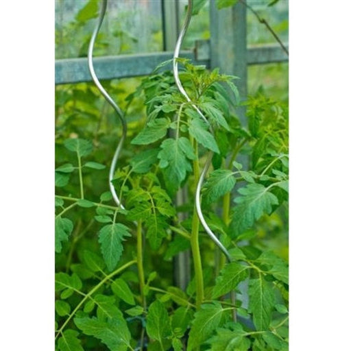 FOUDEBASSIN.COM Tuteur tomates galvanisé en spirale - corps plein, surface lisse - H150 cm x Ø6,8 mm 8711338401125 6040112
