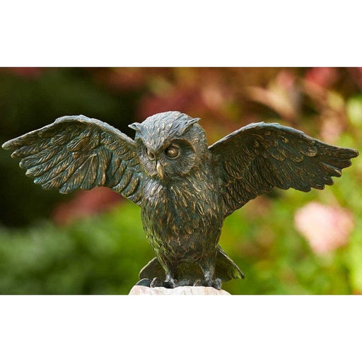 FOUDEBASSIN.COM Uhu mit Flügel offen 85039800 88879