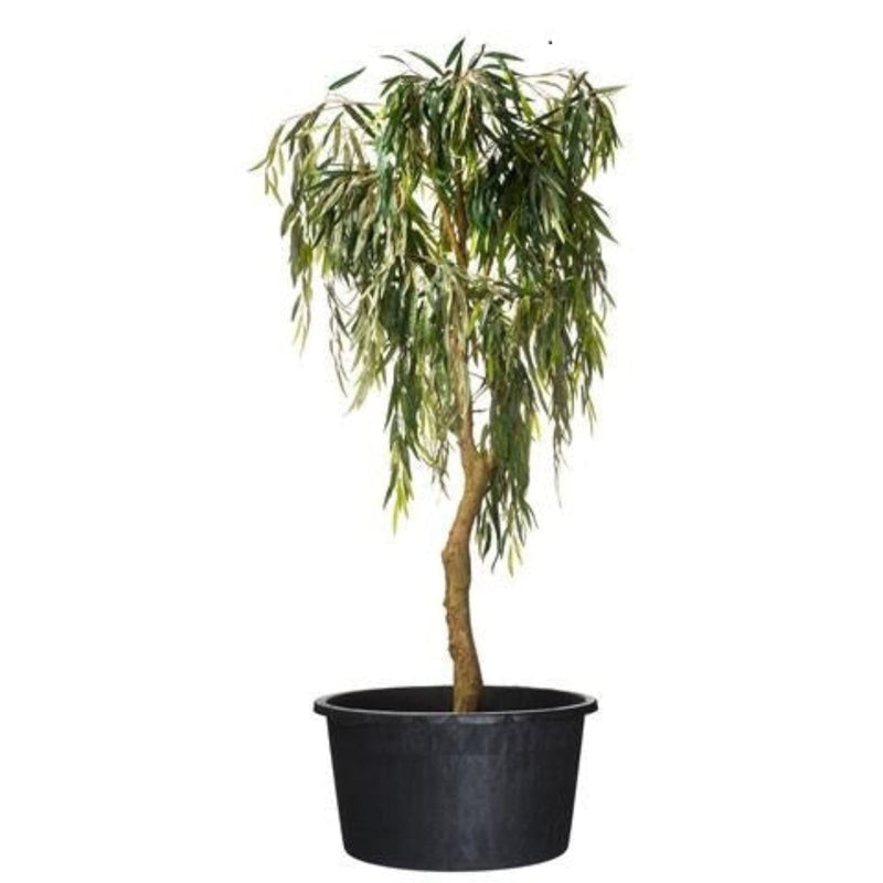 FOUDEBASSIN.COM Victoria - Conteneur rond  fond avec trous de drainage et poignées - 20L - H27 x Ø37 cm 8711338703205 6070320