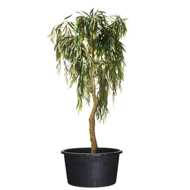 FOUDEBASSIN.COM Victoria - Conteneur rond  fond avec trous de drainage et poignées - 35L - H31 x Ø40,5 cm 8711338703212 6070321
