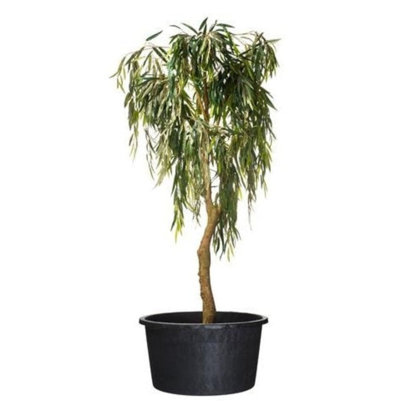 FOUDEBASSIN.COM Victoria - Conteneur rond  fond avec trous de drainage et poignées - 50L - H36 x Ø53,5 cm 8711338703229 6070322