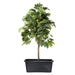 FOUDEBASSIN.COM Victoria Quadro 1, JP container 65l 30x78x39cm 8711465503556 1050355