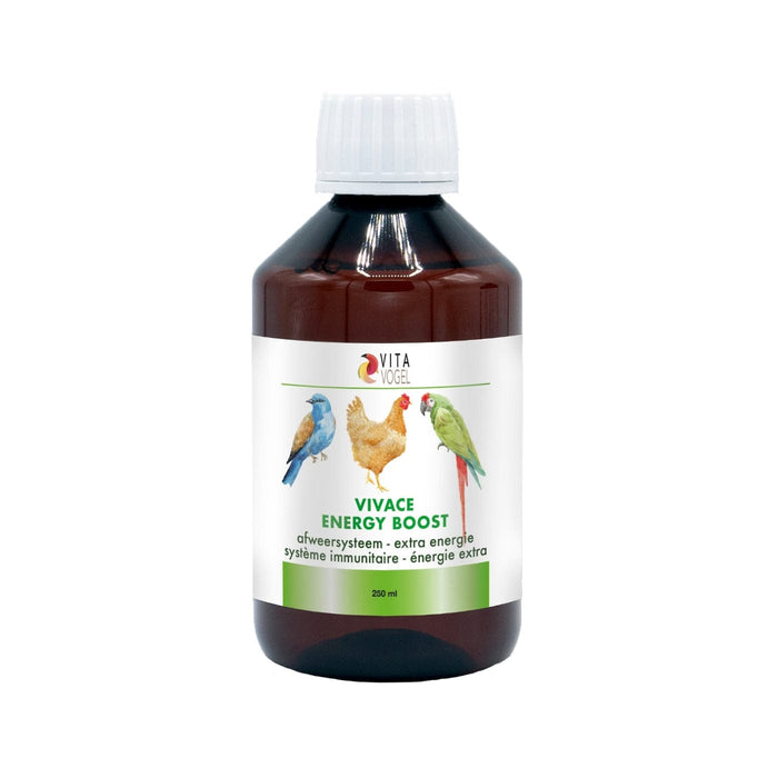 FOUDEBASSIN.COM Nourriture VIVACE BOOST D'ÉNERGIE 250ML 7442143253265 V250