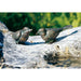 FOUDEBASSIN.COM Vogel 12cm lang 780002490 90322