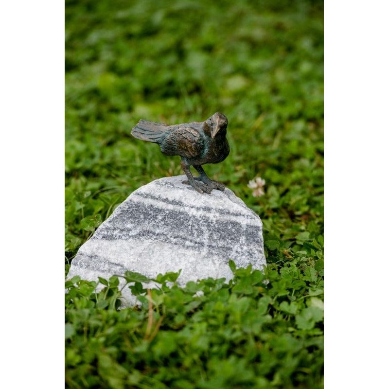FOUDEBASSIN.COM Vogel 990322.1 groß auf Alaska-Stein