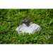 FOUDEBASSIN.COM Vogel klein 290002290 990322.2