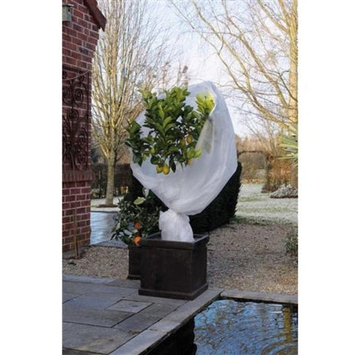 FOUDEBASSIN.COM Voile d'hivernage - PP, blanc, 30 g/m² - 1 x 10 m 8711338300923 6030092